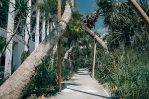 Fotografie z fotogalerie ubytování BOTANICAL POOL CLUB v destinaci Kyonan