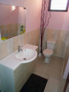 a bathroom with a sink and a toilet at Logement dans un lieu calme et verdoyant à proximité de tout avec Jacuzzi!!! in Basse-Terre