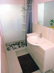 W łazience znajduje się umywalka i prysznic. w obiekcie Logement dans un lieu calme et verdoyant à proximité de tout avec Jacuzzi!!! w mieście Basse-Terre