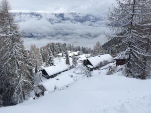 ein schneebedecktes Haus in einem verschneiten Wald in der Unterkunft Almhaus Goldeck in Schwaig