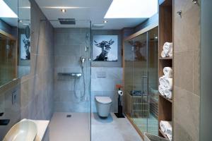 a bathroom with a shower and a toilet and a sink at Alpin Kanker Suites 1 in Garmisch-Partenkirchen