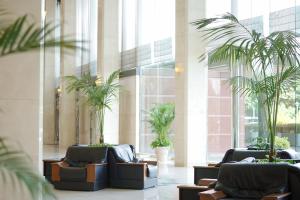 成田的住宿－成田馬羅德國際酒店，大堂,在大楼内摆放着椅子和棕榈树