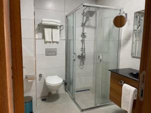 uma casa de banho com uma cabina de duche em vidro e um WC. em İNNPORT HOTEL em Gebze