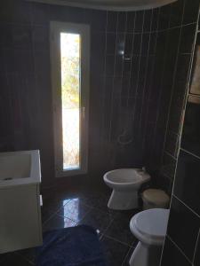 baño con aseo y lavabo y ventana en La Motanu en Ghermăneşti