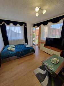 a bedroom with a bed and a tv and a table at Villa Residence, free parking, pets friendly in Varna City