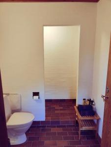a bathroom with a toilet in a room at Comfortable 3- bedroom villa with free parking in Roslev