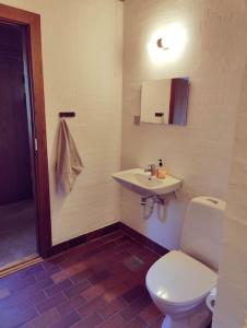 a bathroom with a white toilet and a sink at Comfortable 3- bedroom villa with free parking in Roslev