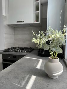 un jarrón blanco con una planta en un mostrador de cocina en Luxury Apartments and Studios Boulevard G Enescu Suceava en Suceava