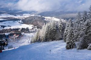 a snow covered hill with trees and a ski slope at Azureva Métabief in Métabief