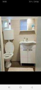 a bathroom with a toilet and a sink and a window at Vikendica DUNAV in Novi Sad