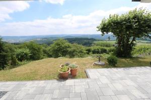 un patio con dos macetas en la cima de una colina en Ferienwohnung Haus Fernblick, 