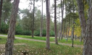 un camino a través de un parque con árboles y un semáforo en Camping Caravaning Cuenca, en Cuenca