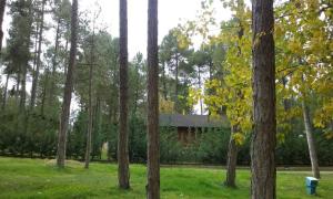 uma floresta de árvores com uma casa ao fundo em Camping Caravaning Cuenca em Cuenca