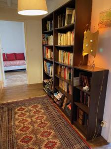 biblioteka z półkami na książki wypełnionymi książkami w obiekcie Le Clos Ségur w mieście Leychert