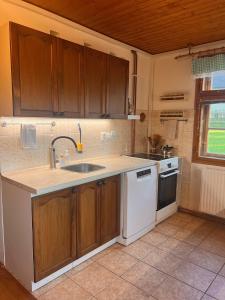 a kitchen with wooden cabinets and a sink and a dishwasher at Roubenka Jeseníky in Břidličná