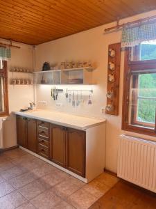 a kitchen with wooden cabinets and a counter top at Roubenka Jeseníky in Břidličná