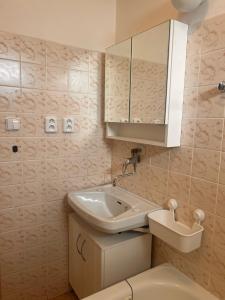 a bathroom with a sink and a toilet at Roubenka Jeseníky in Břidličná