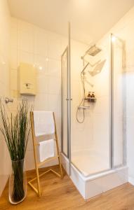 a shower with a glass door in a bathroom at Zentral Boxspringbetten Garage Rhein in Bonn