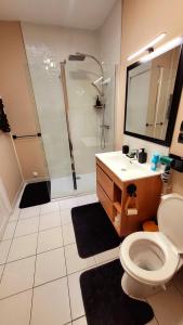 W łazience znajduje się prysznic, toaleta i umywalka. w obiekcie Au centre de Nevers w mieście Nevers