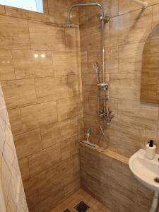 y baño con ducha y lavamanos. en Apartament przy Motławie en Gdansk