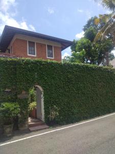 a house with a hedge in front of a building at Roche's Cozy Corner R-2 Ground Level in Sri Jayewardenepura Kotte