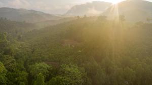 an aerial view of a forest with the sun shining through the trees at Cinnamon Eco Lodge in Nậm Hoắc