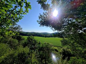 Naturlandschaft in der Nähe des Ferienhauses