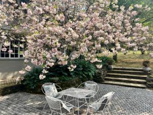 einen Tisch und Stühle unter einem Baum mit rosa Blumen in der Unterkunft Gowan Valley Guest Farm in Balgowan