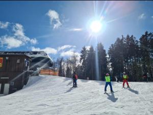 a group of people skiing down a snow covered slope at Ferienhaus DANA in Meschede