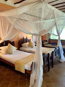 - une chambre avec 2 lits avec des moustiquaires dans l'établissement Hotel Club Dongwe, à Pingwe