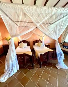 Gallery image of Hotel Club Dongwe in Pingwe