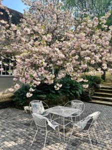 una mesa y dos sillas y un árbol con flores rosas en Gowan Valley Guest Farm en Balgowan