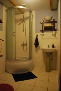 a bathroom with a shower and a sink at Pod Lasem 