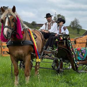 a man and a child riding in a horse drawn carriage at Casa Aureliana in Ciocăneşti