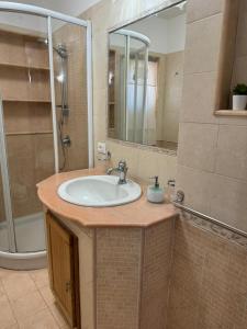 La salle de bains est pourvue d'un lavabo, d'une douche et d'un miroir. dans l'établissement La casa del mulino, à Catane