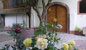 a bunch of flowers in front of a wooden door at Ferienwohnungen Altes Rathaus in Vogtsburg