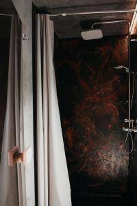 uma cortina de chuveiro numa casa de banho com um quadro em AQUACHILL houseboat & wellness em Liptovský Trnovec