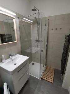 uma casa de banho branca com um chuveiro e um lavatório. em Moji Sousedi - Apartmán Červená em Destné v Orlických horách
