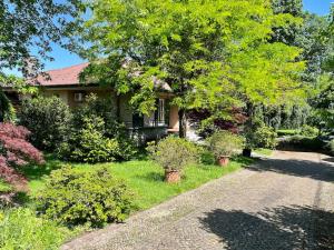 uma casa com uma árvore e uma entrada em Villa Merone - Pusiano Lake em Merone