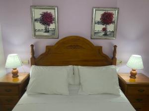 a bedroom with a bed with two lamps on night stands at Apartamentos Turisticos Juanita "Ope" in Archena