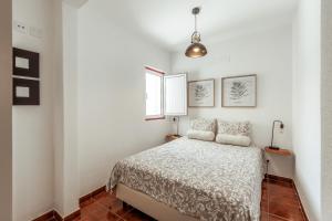 um quarto com uma cama e uma janela em Pinheirinha Guest House em Alpiarça