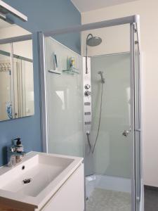 een badkamer met een douche en een witte wastafel bij Het Zonnetje -Vakantiewoning en Bed and Breakfast in Dilsen-Stokkem