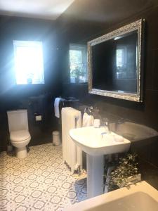 een badkamer met een wastafel, een toilet en een spiegel bij Riverside Cottage in Whalley