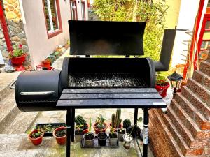 - un barbecue avec des plantes en pot sur une terrasse dans l'établissement Casa Camelia, à Nehoiu