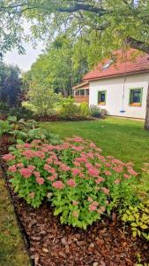 a bunch of pink flowers in a yard at Zielony Domek w Nartach - Mazury in Narty