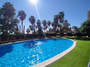 uma grande piscina com palmeiras ao fundo em ACV - Acapulco II-1ª Linea Planta 5 Norte em Oropesa del Mar