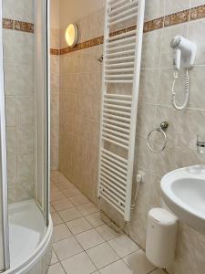 a bathroom with a shower and a toilet and a sink at Hotel Na Pláži in Horní Planá