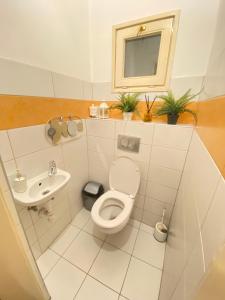 ein kleines Bad mit WC und Waschbecken in der Unterkunft Sziv Apartment - Modern and Comfortable in Budapest