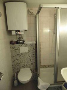 een kleine badkamer met een toilet en een douche bij Landgasthof Lüder in Lüder