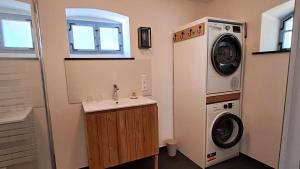 a bathroom with a washing machine and a sink at Ferienhaus FERGUNNA in Marienberg